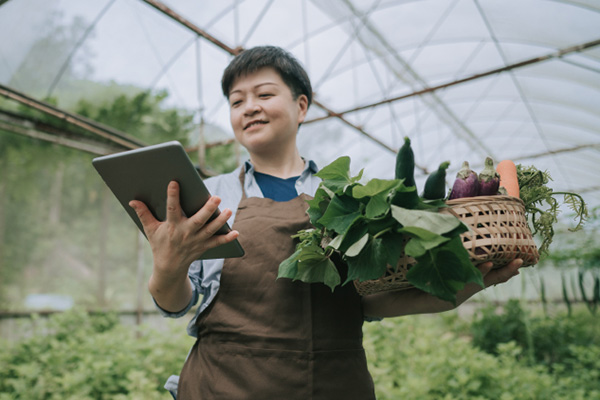 Not only organic Vegetables should be eaten with understanding — Digital transformation of organic farms